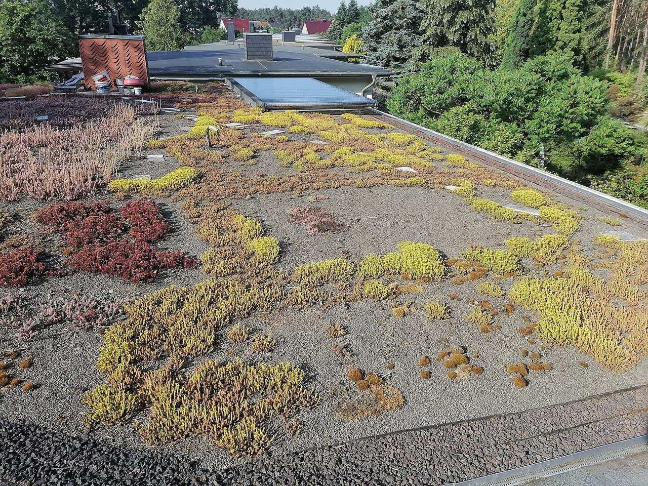 Plat dak met een grindlaag die deels begroeid is met vetplanten